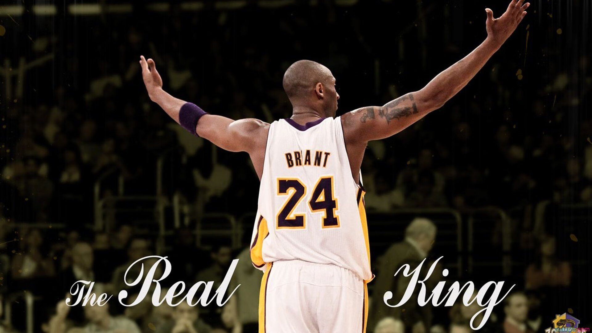 开云 官网 入口-《FIFA》体育年终盛典，虚拟竞技重现经典！，fifa sports